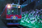 ニュース画像：「夜のあじさい号」イメージ - 「箱根登山鉄道、2019年の「夜のあじさい号」は6月15日から運転」