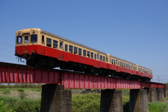 ニュース画像：小湊鐵道キハ200形 2023年05月04日撮影 - 「小湊鐵道、台風13号の影響から復旧 全線で運転再開」
