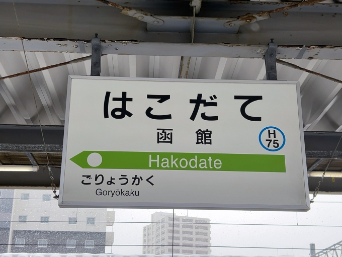 鉄道乗車記録の写真:駅名看板(1)        「JR函館本線　函館駅　駅名標」