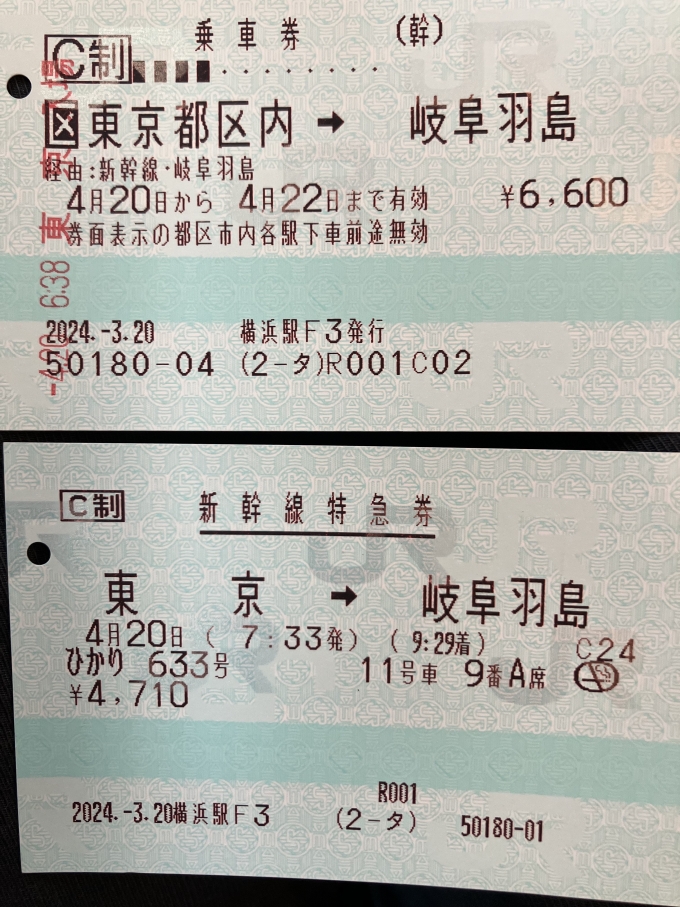 鉄道乗車記録の写真:きっぷ(9)     
