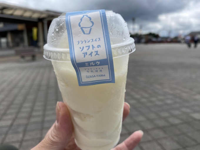 鉄道乗車記録の写真:駅弁・グルメ(2)        「鬼怒川温泉駅前で食べたソフトクリーム！」