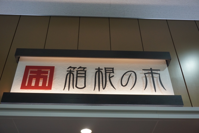 鉄道乗車記録の写真:駅舎・駅施設、様子(2)        「箱根の市」