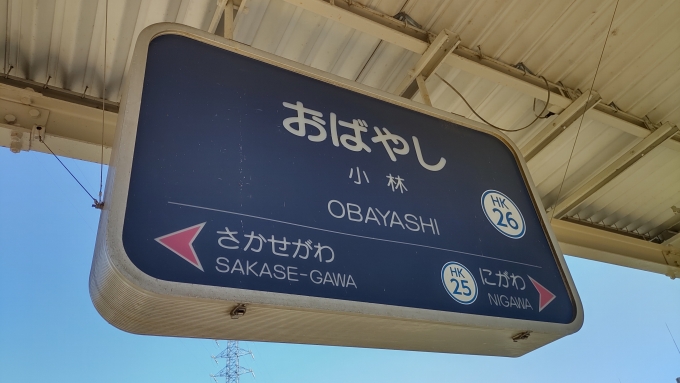 鉄道乗車記録の写真:駅名看板(2)        「「おばやし」駅です。
多分この駅で降りるのは初めてです。
長年阪急に乗っていますが降りていない駅はたくさんあります。特に京都本線です。」