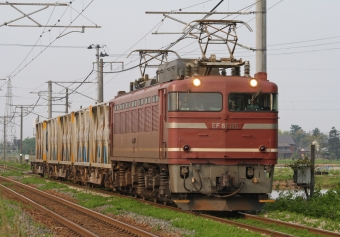 JR貨物 EF81-115 鉄道フォト・写真 by スーパー金太郎さん 帯織駅：2009年05月03日06時ごろ