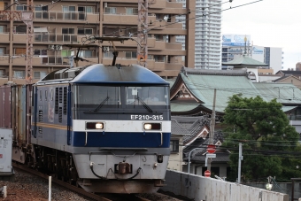JR貨物 EF210形 EF210-315 鉄道フォト・写真 by norikadさん 兵庫駅：2023年09月22日12時ごろ