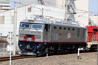 JR貨物 EF510形 EF510-308 鉄道フォト・写真 by norikadさん 兵庫駅：2024年03月22日10時ごろ