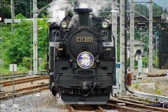 SL大樹(急行) 鉄道フォト・写真