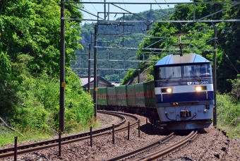 JR貨物 EF210形 福山レールエクスプレス EF210-340 鉄道フォト・写真 by シーホース21さん 柏原駅 (滋賀県)：2024年05月14日11時ごろ