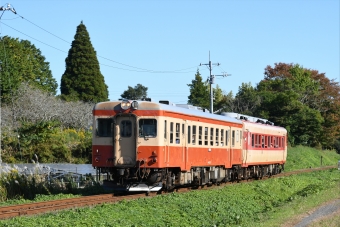 いすみ鉄道 鉄道フォト・写真