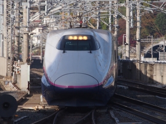 JR東日本 E223形(T1c) やまびこ(新幹線) E223-1021 鉄道フォト・写真 by HayaKomaさん 福島駅 (福島県|JR)：2023年11月16日14時ごろ