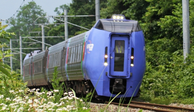 Jr北海道 冬季限定で スーパーおおぞら4号 をトマム駅に臨時停車 Raillab ニュース レイルラボ