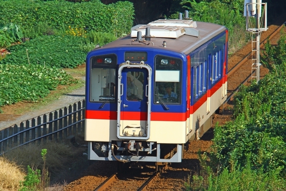 鹿島臨海鉄道、「あんこう祭限定入場券」を販売へ | レイルラボ ニュース