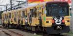 ニュース画像：黄色い35編成 - 「熊本電気鉄道、くまモンラッピング電車の鉄コレ先行予約 12月1日から」