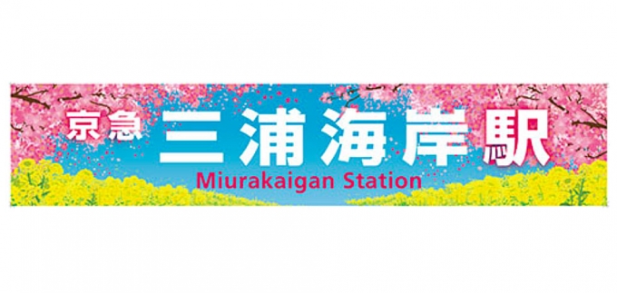 京急 三浦海岸駅の駅名看板を装飾 三浦海岸桜まつり にあわせ Raillab ニュース レイルラボ