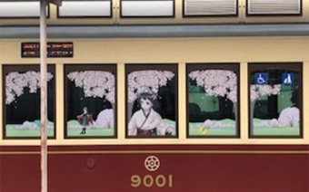 ニュース画像：2018年の東京さくらトラム記念号 - 「都電荒川線、9001号で「東京さくらトラム記念号」運行へ HM掲出」