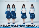 ニュース画像：「HELLO NEW ODAKYU!」第2弾ポスター イメージ - 「小田急、2018年3月完成の複々線化で第2弾PR 新広告や動画を公開」