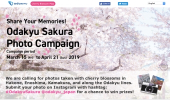 ニュース画像：沿線の桜情報を提供する特設サイト - 「小田急、訪日外国人向けにさくらキャンペーン 特典やノベルティを提供」