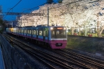 ニュース画像：2018年にプロカメラマンが撮影 - 「新京成電鉄、沿線の桜並木のライトアップを実施 4月1日まで」