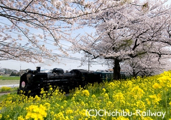 画像：秩父鉄道 SL列車 イメージ - 「SL「昭和」「平成」「令和」、秩父鉄道が特別仕様で運転へ」
