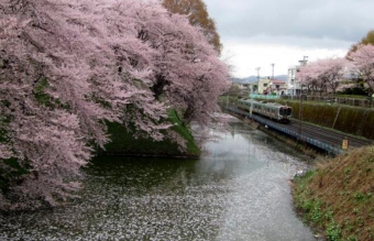 ニュース画像：霞城公園の桜とJR線 - 「JR東日本、山形の桜の名所「霞城公園」の見頃にあわせ減速運転」