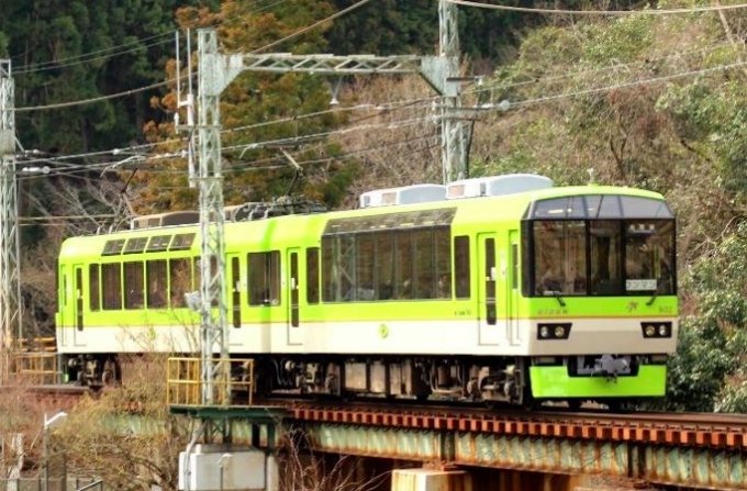 画像：青もみじきらら - 「叡山電鉄、「青もみじ新緑の徐行運転」を実施 4月27日から」