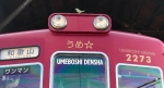 ニュース画像：マスコットがついた「うめ星電車」 - 「和歌山電鐵、「うめ星電車」に「梅にうぐいす」のマスコットを設置」