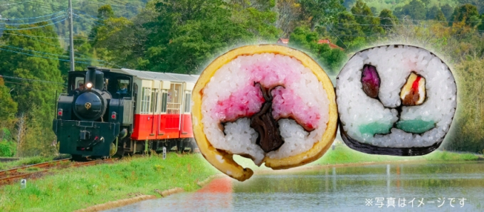 画像：ツアーイメージ - 「小湊鐵道、日帰りツアー「『太巻き祭り寿司』体験と江戸道散策」実施」