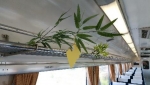 ニュース画像：SL大樹車内の装飾イメージ - 「東武鉄道、七夕飾りを鬼怒川線沿線や「SL大樹」車内で実施」