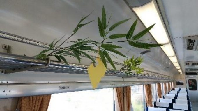 画像：SL大樹車内の装飾イメージ - 「東武鉄道、七夕飾りを鬼怒川線沿線や「SL大樹」車内で実施」
