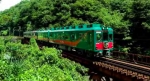 ニュース画像：天空 - 「南海電鉄、7月3日に「天空」運行開始10周年 記念キャンペーンを展開」