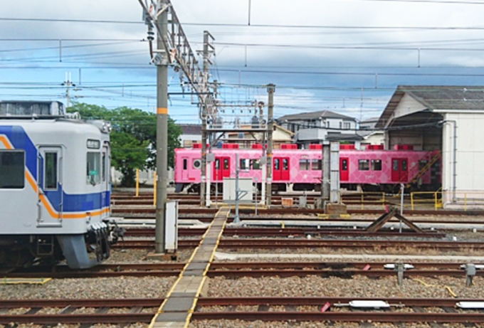 画像：南海電鉄 和歌山車庫 - 「南海電鉄、9月9日に親子を対象とした「和歌山車庫見学会」を開催」