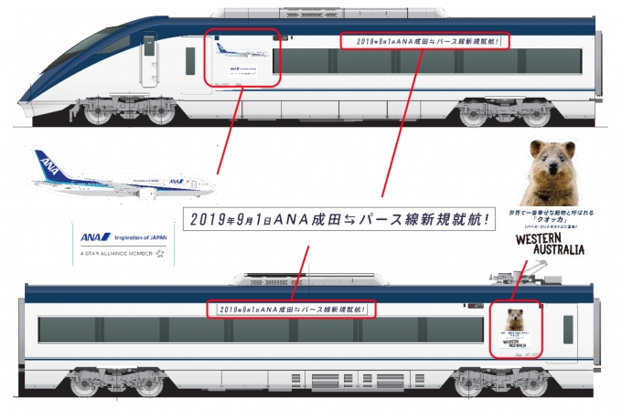 ニュース画像：パース線新規就航の記念ラッピング デザイン - 「成田/パース線の新規就航、京成が記念ラッピングのスカイライナーを運行」