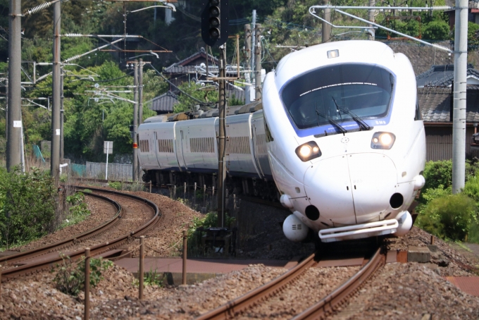ニュース画像：stingerさんの鉄道フォト - 「JR九州、ラグビーワールドカップ準々決勝に合わせ臨時列車を増発」