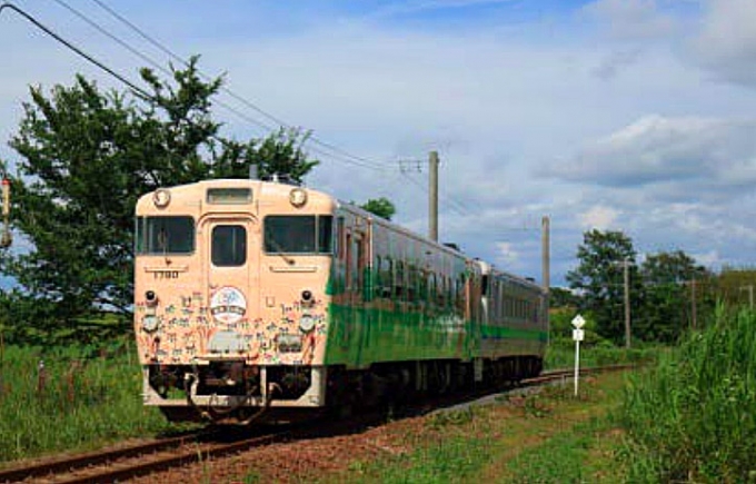 画像：「道央 花の恵み」車両 - 「JR北海道、日高線で「道央 花の恵み」を運行 9月22日」