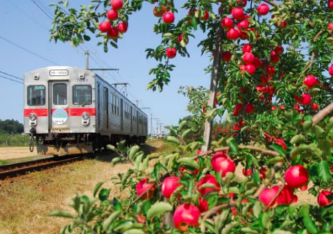 ニュース画像：徐行運転のイメージ - 「弘南鉄道、りんご収穫シーズンにあわせ徐行運転 10月14日から」