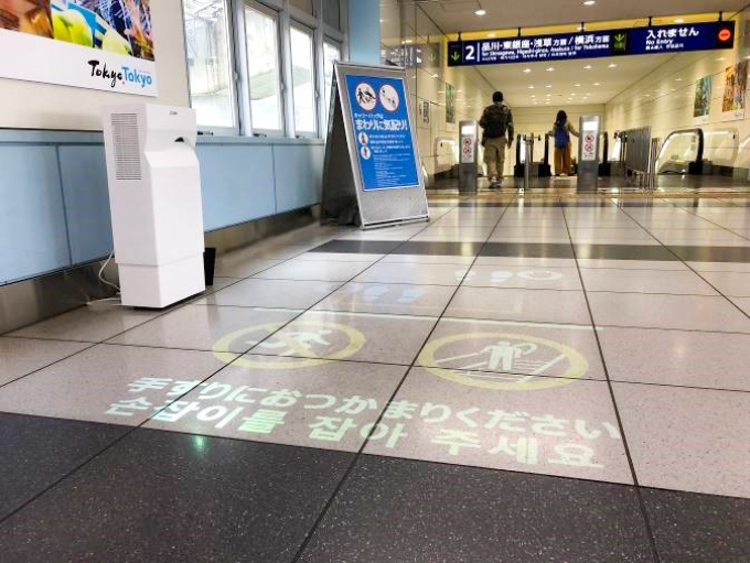 ニュース画像：設置イメージ - 「京急、羽田国際線駅でアニメーションライティング誘導システムの実証実験」