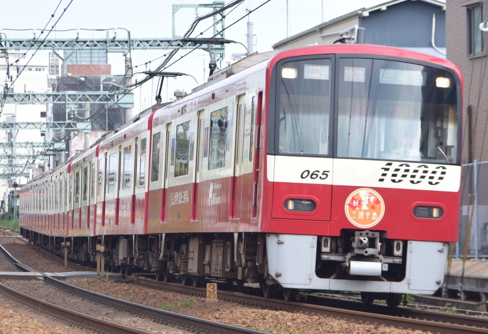 ニュース画像：スカイラインR32さんの鉄道フォト - 「京急、「行こう！秋の三浦半島」ラッピング列車を運行中」