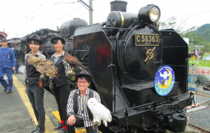 ニュース画像：SL幸福のフクロウ号 - 「秩父鉄道、フクロウと乗車できる「SL幸福のフクロウ号」運行」