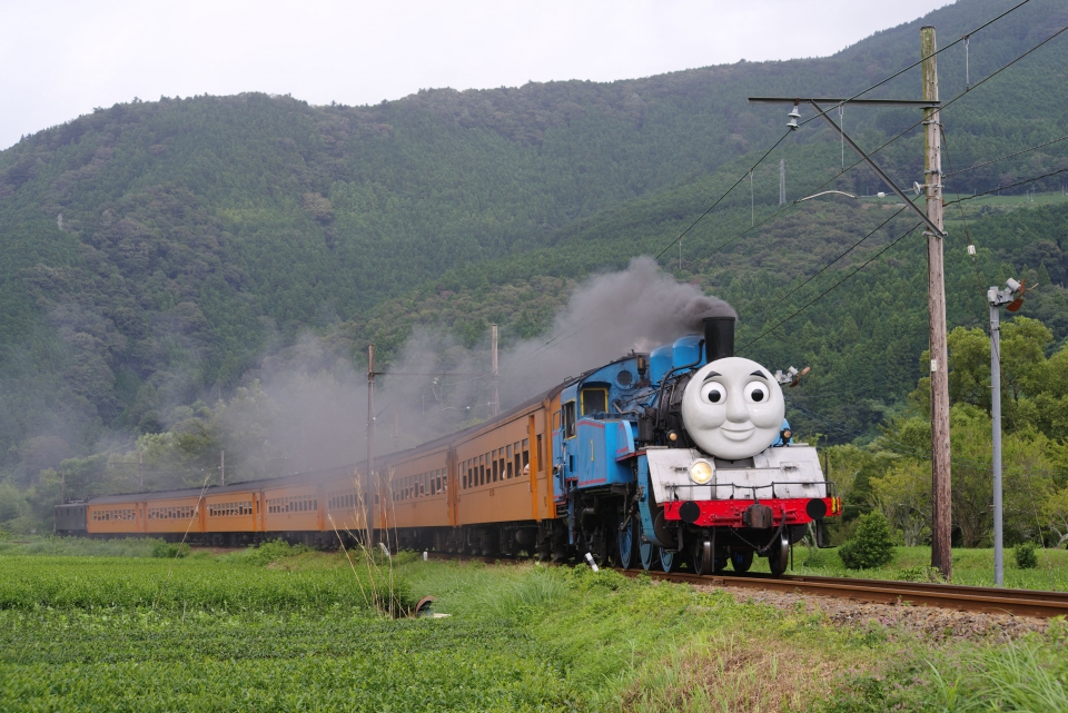 ニュース画像：apphgさんの鉄道フォト - 「大井川鐵道、2020年の「きかんしゃトーマス」の運行を決定」