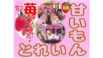 ニュース画像：甘いもんとれいん - 「伊賀鉄道、苺のスイーツを満喫 「甘いもんとれいん」運転 1月25日」