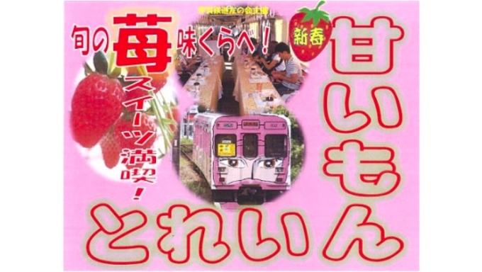 画像：甘いもんとれいん - 「伊賀鉄道、苺のスイーツを満喫 「甘いもんとれいん」運転 1月25日」