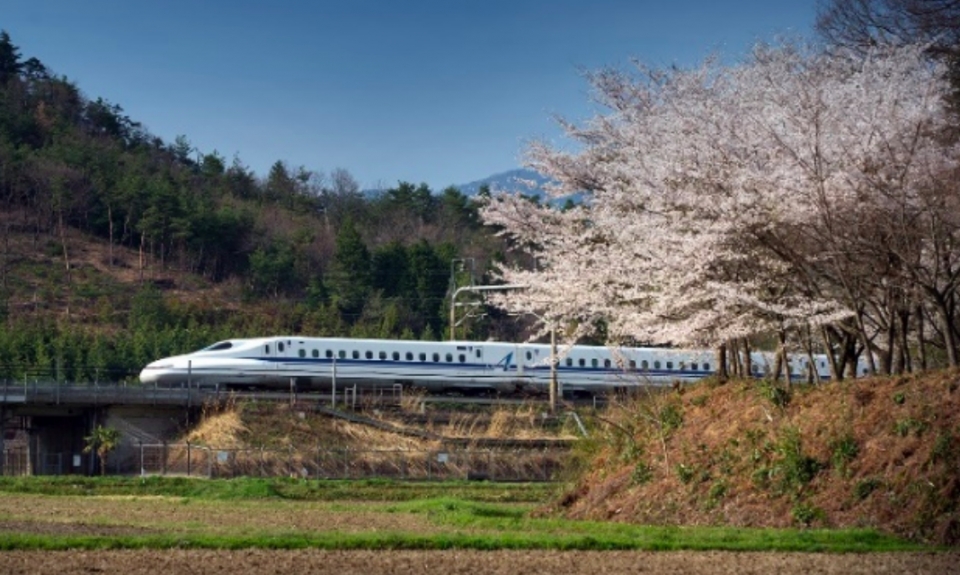 ニュース画像：東海道新幹線 - 「東海道新幹線、春の臨時列車を公表 1日458本の過去最多運行も」