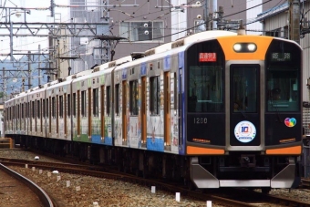 ニュース画像：ささきさちさんの鉄道フォト - 「阪神、3月14日に全線ダイヤ改正 快速急行の運行時間帯を拡大」