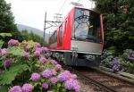 ニュース画像：あじさい電車 イメージ - 「箱根登山鉄道、2020年度「夜のあじさい電車」の運転を休止」