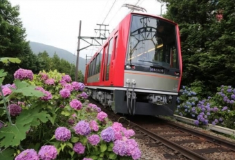 ニュース画像：あじさい電車 イメージ - 「箱根登山鉄道、2020年度「夜のあじさい電車」の運転を休止」