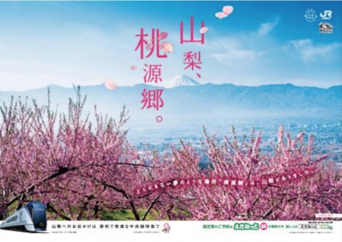 ニュース画像：ポスターイメージ - 「JR東、山梨観光をPR 「やまなし桃の花産直市」も開催」