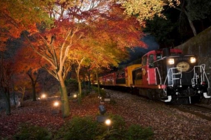 画像：嵯峨野観光鉄道「紅葉ライトアップ」イメージ - 「嵯峨野観光鉄道、トロッコ列車沿線で紅葉をライトアップ 10月14日から臨時列車を運転」