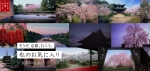 ニュース画像：私のお気に入り 京都の春篇 - 「JR東海、「そうだ 京都、行こう。」キャンペーン開始」