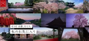 画像：私のお気に入り 京都の春篇 - 「JR東海、「そうだ 京都、行こう。」キャンペーン開始」