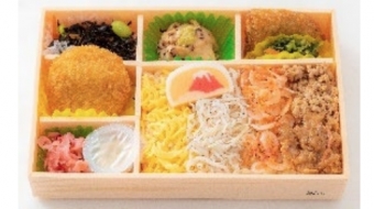 画像：静岡いいところ弁当 メニュー - 「静岡アフターキャンペーンに合わせ特別企画弁当や「伊豆のチカラ」新商品」